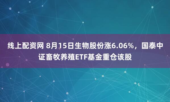 线上配资网 8月15日生物股份涨6.06%，国泰中证畜牧养殖ETF基金重仓该股