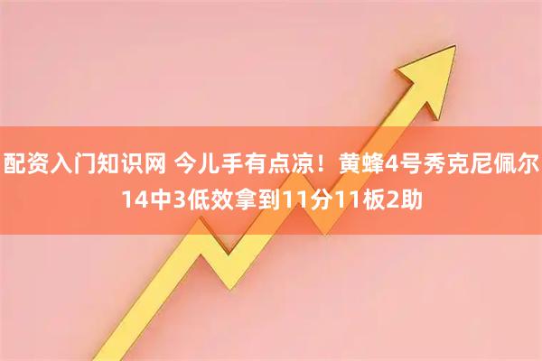 配资入门知识网 今儿手有点凉！黄蜂4号秀克尼佩尔14中3低效拿到11分11板2助